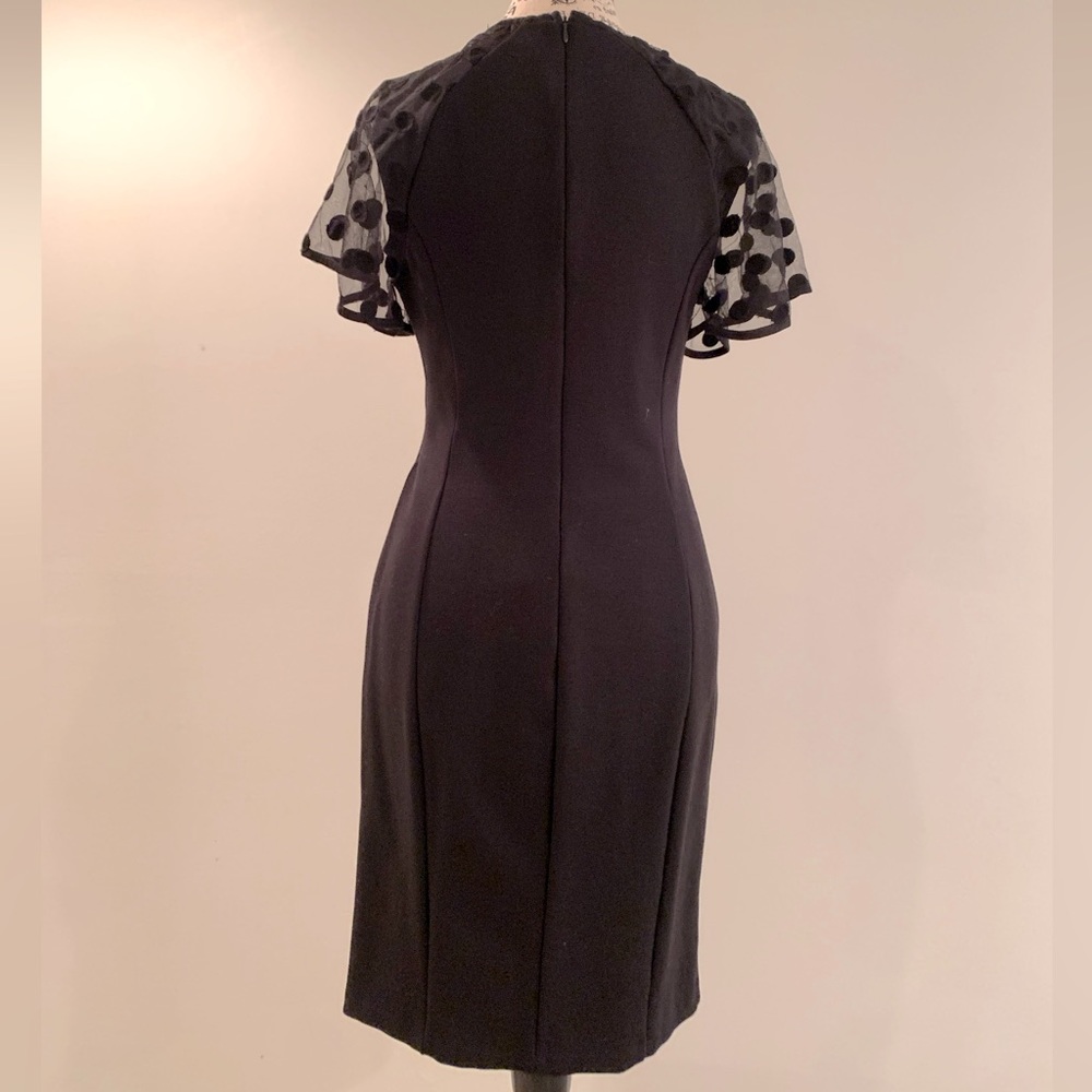 Cute black dress no rips or holes